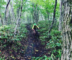 Image post by @bikerumor on Instagram