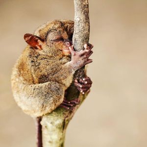 Image post by @discovery on Instagram
