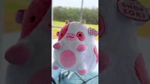 Video post by @shopzokifriends on YouTube