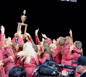 Image post by @fsugoldengirls on Instagram