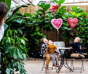 Image post by @shopbachmans on Instagram