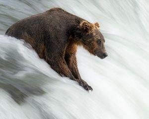 Image post by @nationalparkspartnership on Instagram