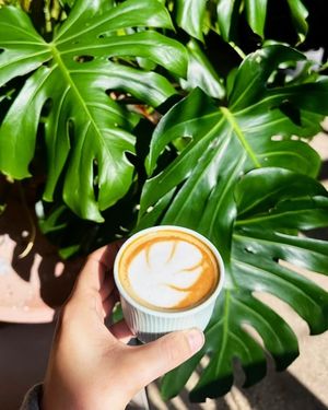 Image post by @thegreenhousejax on Instagram