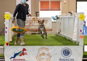 Image post by @triumphpetfood on Instagram