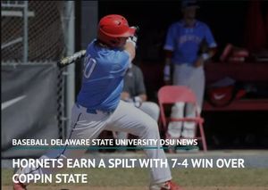 Image post by @delawaresportsblitz on Instagram