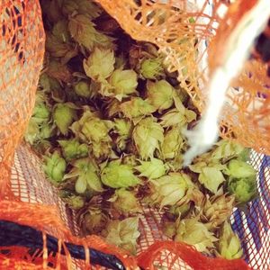 Image post by @sudwerkbrew on Instagram