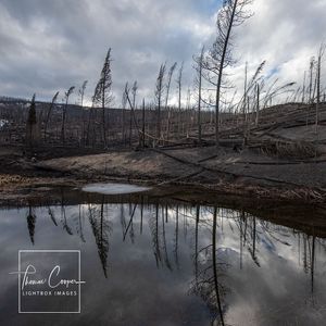 Image post by @lightboximages on Instagram