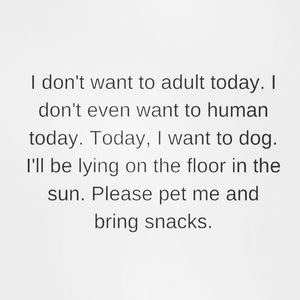 Image post by @ropethemoon on Instagram