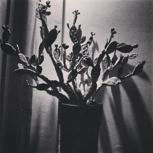 Image post by @francesco__laporta on Instagram