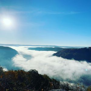 Image post by @drelizabethlewis on Instagram