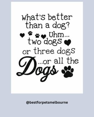 Image post by @bestforpetsmelb on Instagram