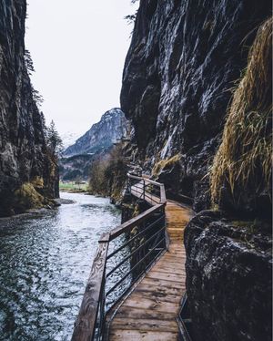 Image post by @sonyalpha on Instagram