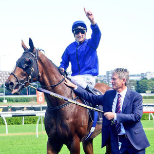 Image post by @australianturfclub on Instagram