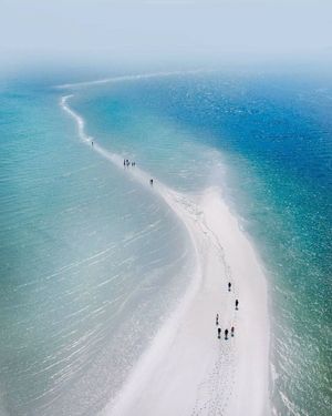 Image post by @fubiz on Instagram