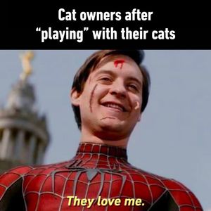 Image post by @9gag on Instagram