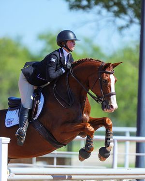 Image post by @tcuequestrian on Instagram