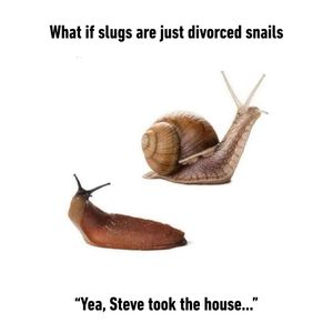 Image post by @9gag on Instagram