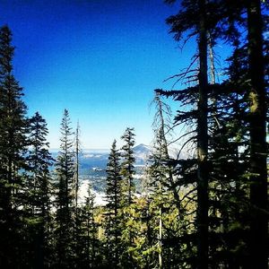 Image post by @nauflagstaff on Instagram