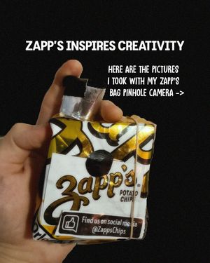 Image post by @realzappschips on Instagram