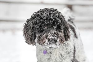 Image post by @jackportunephotography on Instagram