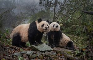 Image post by @natgeo on Instagram