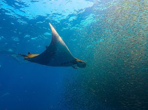 Image post by @natgeo on Instagram