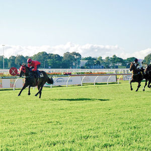 Image post by @australianturfclub on Instagram