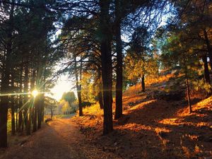 Image post by @nauflagstaff on Instagram