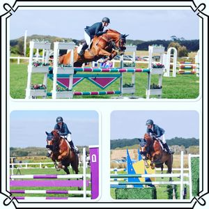 Image post by @snaffle_it on Instagram