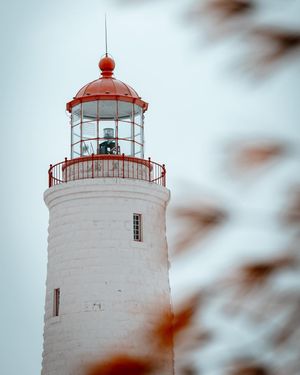 Image post by @dkleasa on Instagram