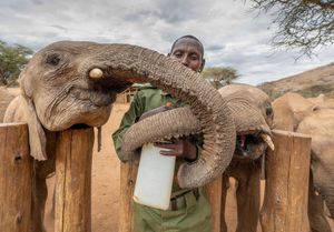 Image post by @natgeo on Instagram