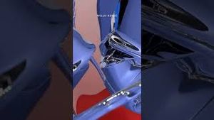 Video post by @goldenfeatures on YouTube