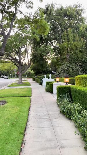 Video post by @liazneimer on TikTok