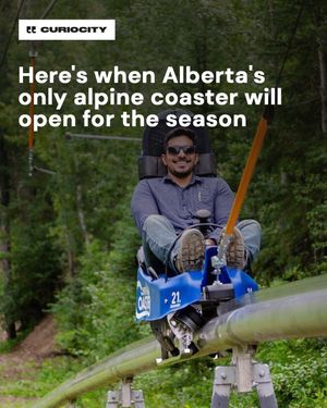 Image post by @curiocitycalgary on Instagram