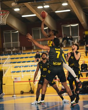 Image post by @usavignonpontetbasket on Instagram