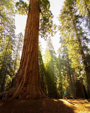 Image post by @nationalparkspartnership on Instagram