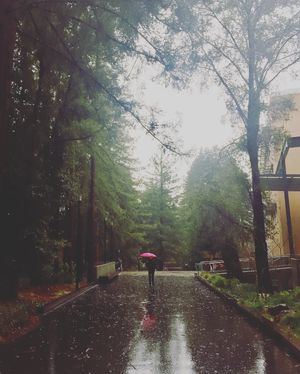 Image post by @ucsc on Instagram