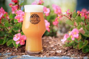 Image post by @navigationbrewingco on Instagram