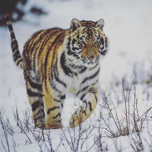 Image post by @discovery on Instagram