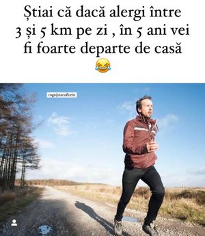 Image post by @rogojinaruflorin on Instagram