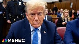 Video post by @msnbc on YouTube