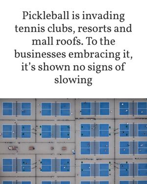 Image post by @thepickleballclinic on Instagram