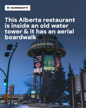 Image post by @curiocitycalgary on Instagram