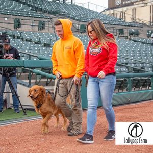 Image post by @rocredwings on Instagram