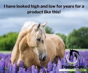 Image post by @equinecareprobiotic on Instagram
