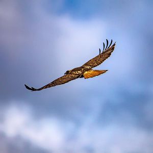 Image post by @jasonsfairchild on Instagram