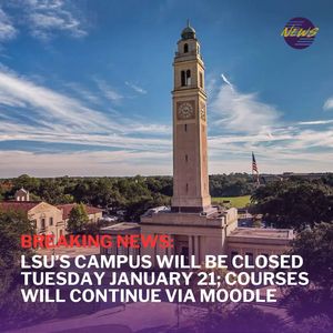 Image post by @lsutigertv on Instagram