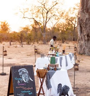 Image post by @chiawasafaris on Instagram