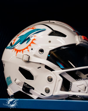 Image post by @dolphins_br on Instagram
