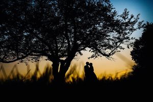 Image post by @roephoto on Instagram
